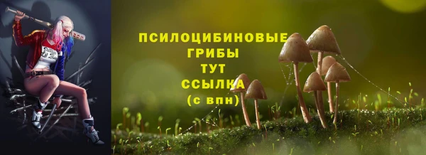 твердый Заволжск