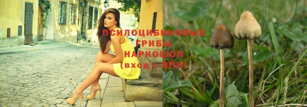 экстази Заводоуковск