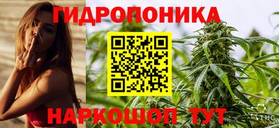 мяу мяу мука Апшеронск
