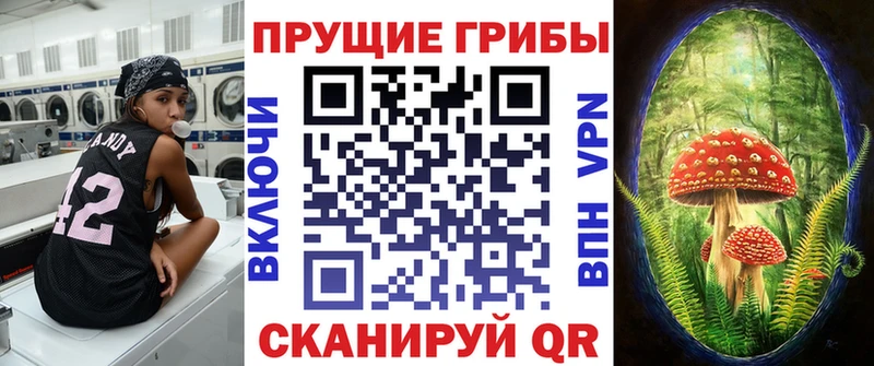 Псилоцибиновые грибы Cubensis  Абакан 