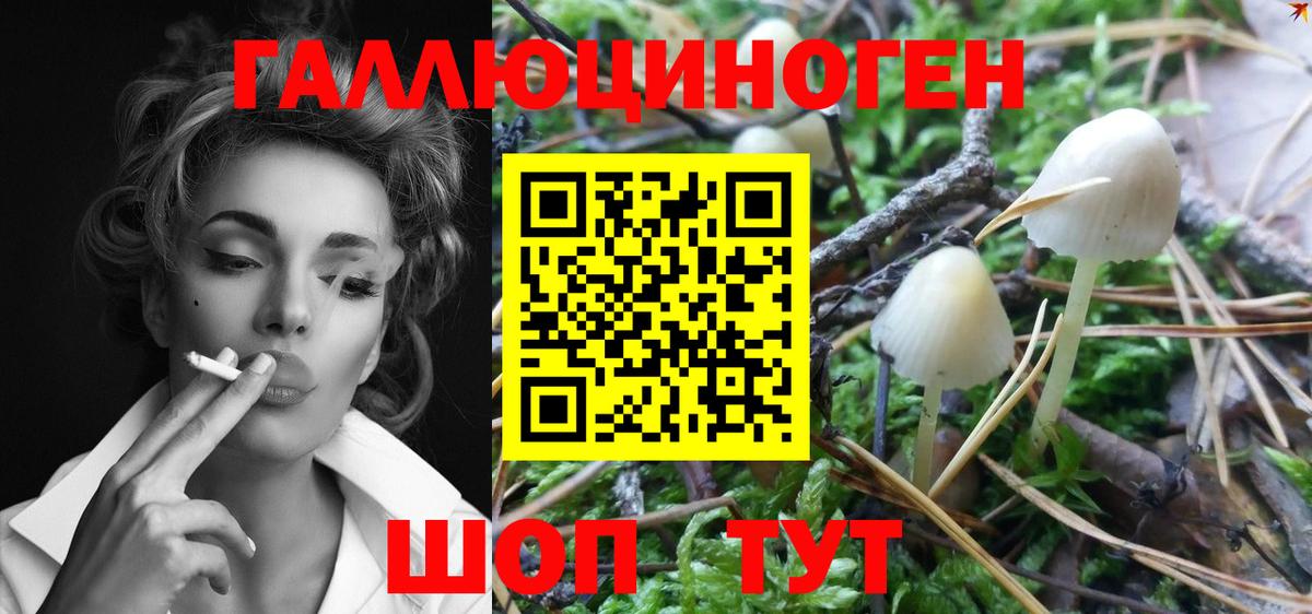 Абакан  Галлюциногенные грибы MAGIC MUSHROOMS  Вход с VPN 